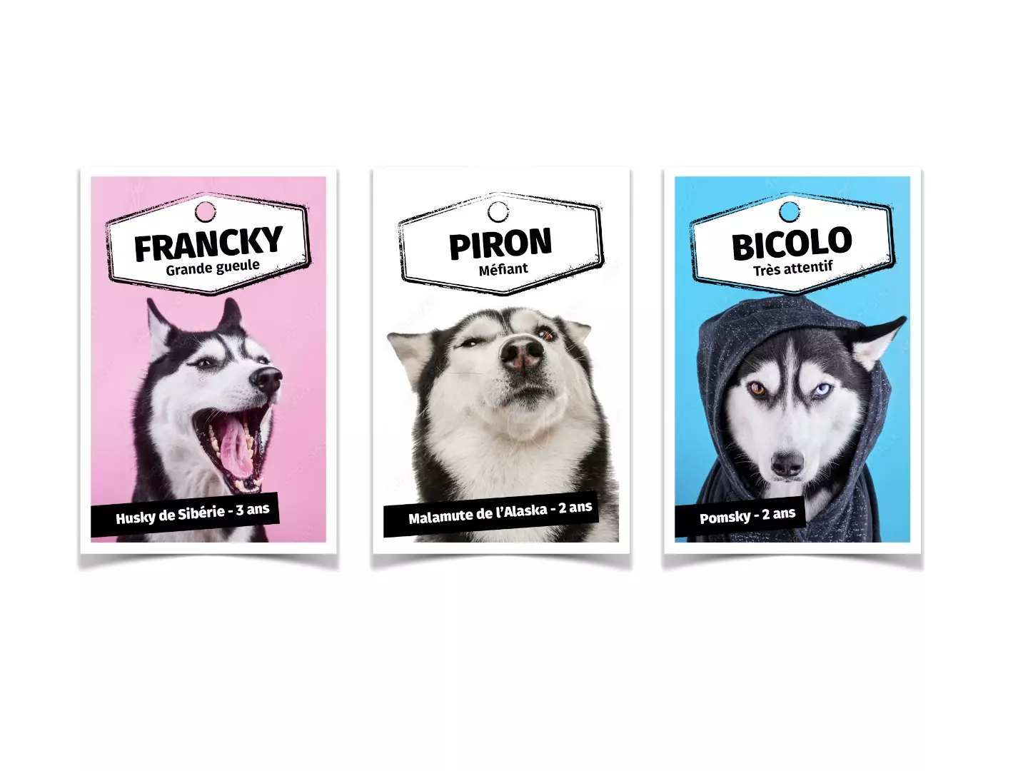 Gestion des campagnes Facebook et création d’une story pour la société Banquise Traineau